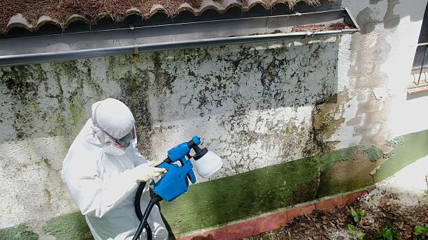 Trusted Mold Remediation service in Berlin, NJ - Cheap Mold Removal